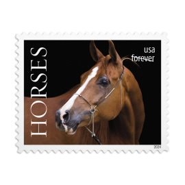 Shop Usps Horses Stamps 2027