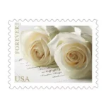Shop White Rose Stamps Forever Discount Cheap In Bulk 2 2027