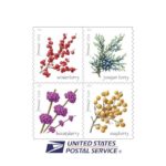 Shop Winter Berries Forever Stamps 2027
