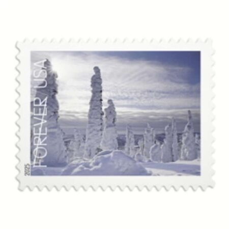 Shop Winter Landscapes Stamps 134 2027
